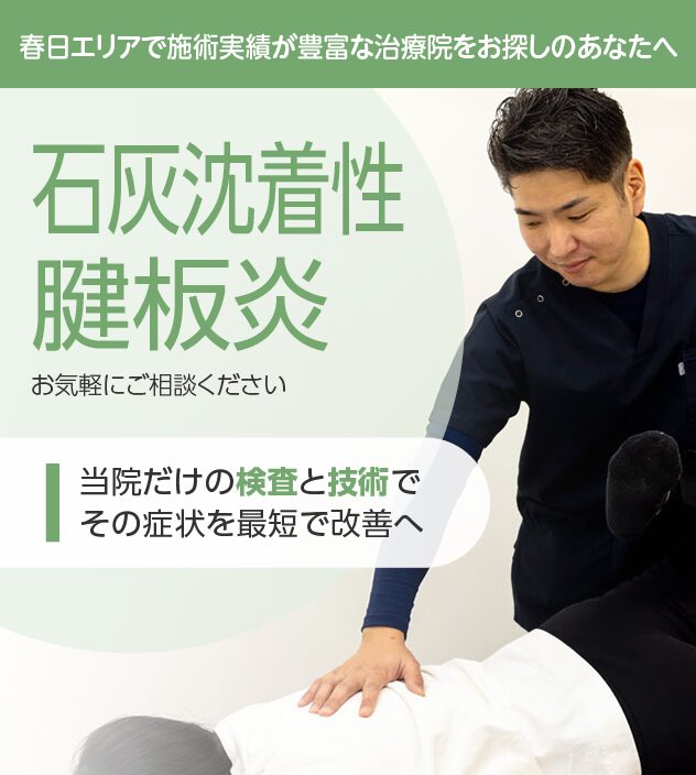 石灰沈着性腱板