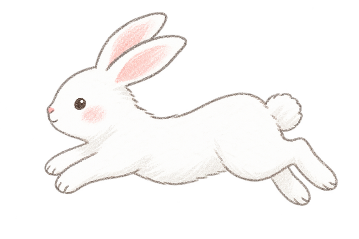 白いうさぎ