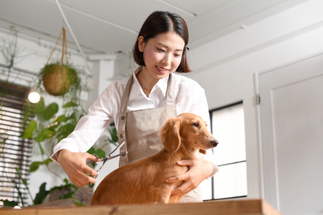 頸肩腕症候群の人 明るい未来