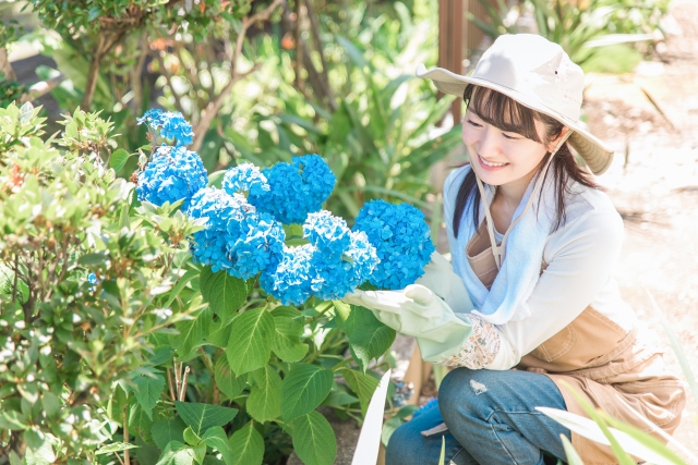 恥骨の痛みが治った人の明るい未来